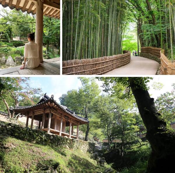 담양 가볼만한곳 추천 /&nbsp;@seung_y.2 / 온라인 커뮤니티