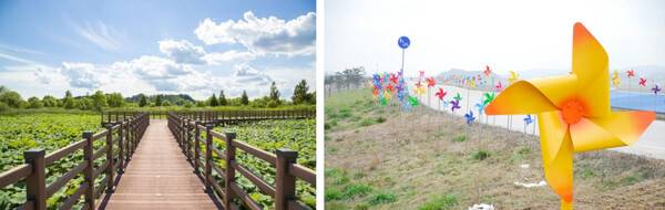 익산 가볼만한곳 추천 / 온라인 커뮤니티