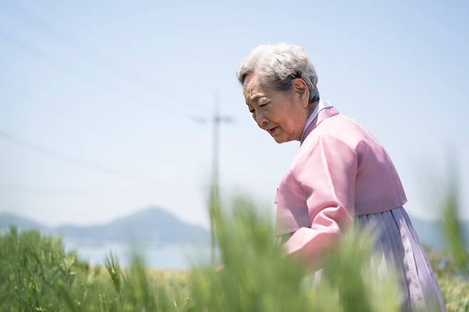 영화 ‘소풍’. 롯데엔터테인먼트 제공