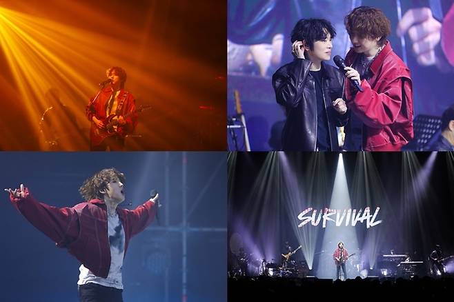 강형호. 제공| 아트앤아티스트