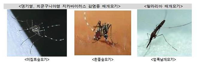 [질병관리청 제공]