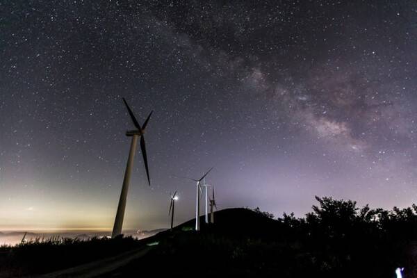 온라인 커뮤니티