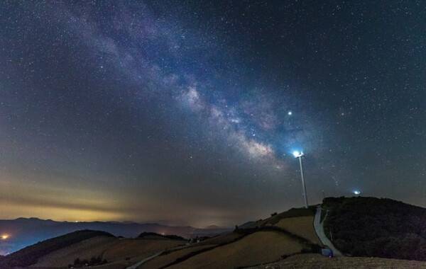 온라인 커뮤니티