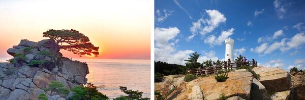 양양 가볼만한 곳 추천 / 온라인 커뮤니티