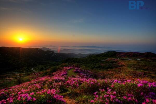 출처 = 게티이미지뱅크