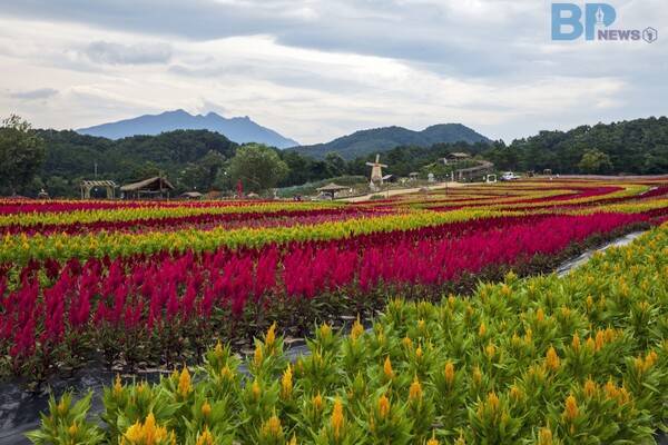 출처 = 게티이미​지뱅크