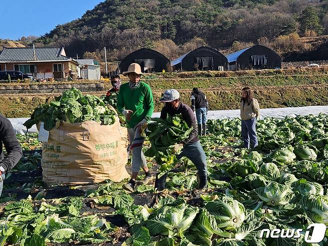 외국인 계절근로자.(괴산군 제공)/뉴스1