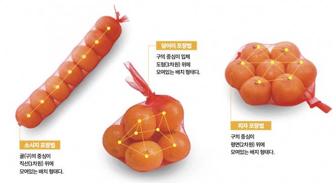 귤 7개를 과학동아 편집부에서 직접 포장해봤다. 귤(구)을 포장하는 방법은 구의 중심이 위치한 차원에 따라 위의 세 가지로 분류할 수 있다. 울리히 베트케 독일 지겐대 교수와 페터 그리츠먼 독일 뮌헨공대 교수는 구의 차원과 중심의 차원을 변수로 하는 부등식을 만들었다. 이를 통해 3차원 구의 경우 소시지나 덩어리 형태의 구 쌓기만 효율적 배치의 후보가 될 수 있다는 점을 밝혀냈다. 과학동아 제공