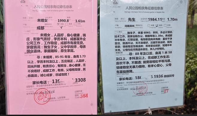 6일 중국 쓰촨성 청두 런민공원의 공개 구혼장에 붙은 공개 구혼서들. 청두/최현준 특파원