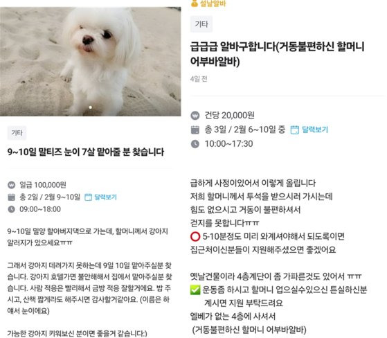 설 연휴 기간 강아지를 대신 맡아줄 사람을 뽑는 이색 알바를 모집했다. 또한 도우미가 쉬고 보호자도 일을 가야하는 탓에 거동이 불편한 할머니를 투석 장소까지 데려다주는 ‘어부바 알바’도 모집했다. 독자 제공