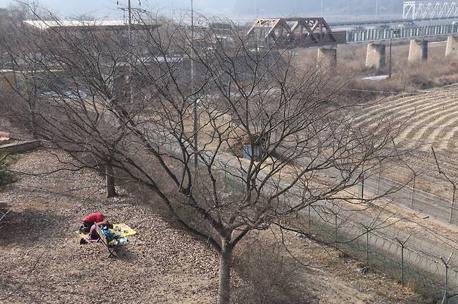 설날인 10일 경기도 파주시 임진각에서 실향민 가족이 임진강 이북을 향해 절하고 있다.  연합뉴스