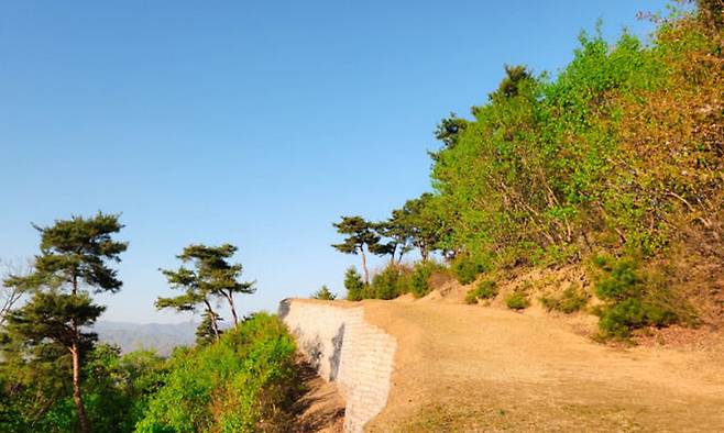 충북 충주시 중앙탑면 장천리 장미산성. 충주시 제공