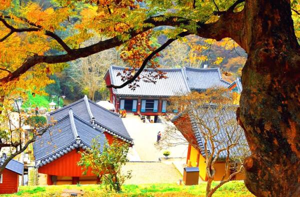 청양 가볼만한 곳 추천 / 온라인 커뮤니티