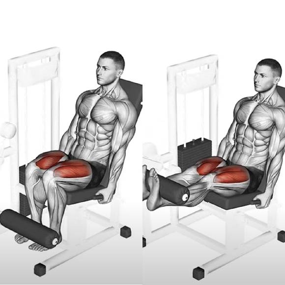 '단관절운동'은 하나의 관절만 쓰는 운동으로 고립 운동이라고도 불린다. 사진은 단관절운동인 레그 익스텐션. [사진=유튜브 채널 '세계적으로 유명한 운동 정보']