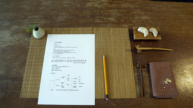 웅차 강의자료 / 사진=김규란 여행+ PD