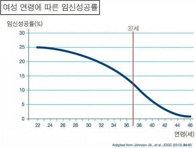 여성 나이에 따른 임신성공률.