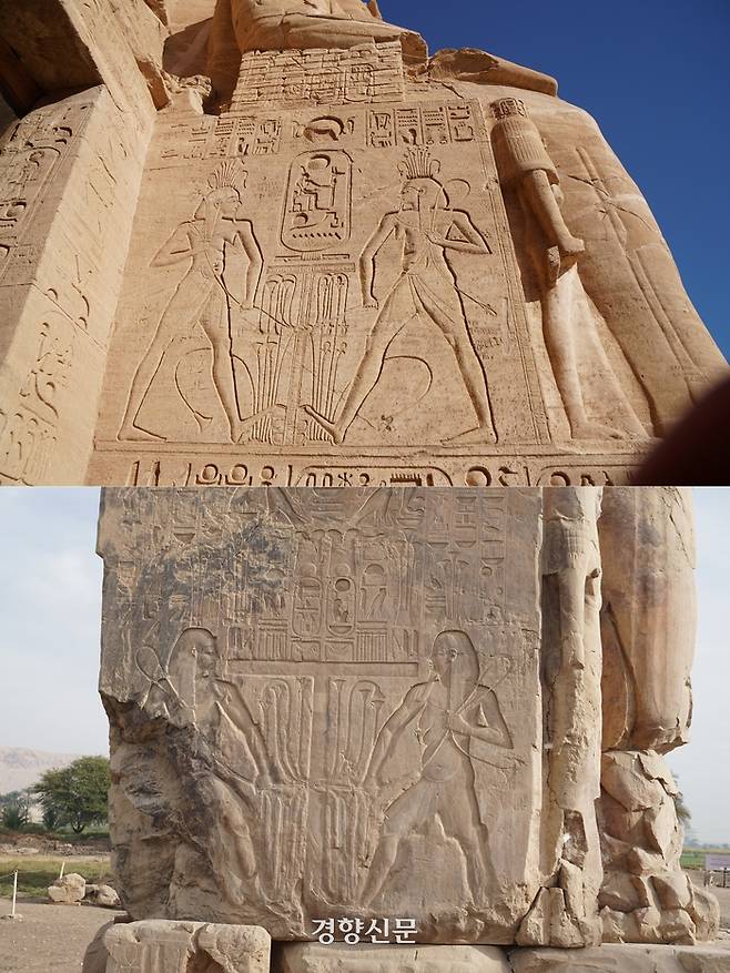 상·하 이집트의 통일을 상징하는 연꽃(상이집트)과 파피루스(하이집트)를 하나로 묶는 장면은 주요 유적, 유물 곳곳에서 만난다. 사진 위는 아부심벨 신전의 람세스2세 좌상 (왼쪽 식물 무늬가 파피루스), 아래는 룩소르의 ‘멤논의 거상’(아멘호테프 3세 거상) 옆면 부조. 도재기 선임기자