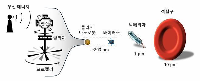 클러치 나노로봇은 바이러스 크기인 200㎚(나노미터)의 극미세 영역 안에 엔진, 클러치, 로터 등의 기계 장치를 탑재하여 프로펠러의 회전과 같은 기능을 수행한다.[IBS 제공]