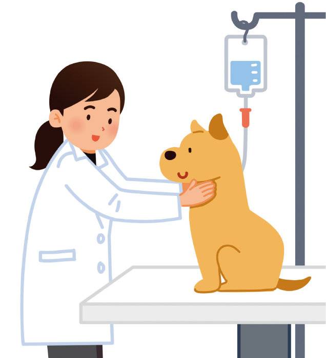 선거철 반려동물 관련 공약 중 하나로 ‘공공동물병원 설립’이 등장했다. [GettyImages]