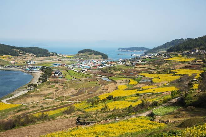 전남 완도의 한 토지가 법원 경매 사상 최저가에 낙찰됐다. 사진은 전남 완도군의 한 마을. 사진은 기사 내용과 관련 없음. /사진=이지미투데이