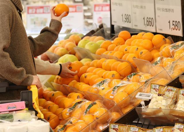 중국 온라인 쇼핑 플랫폼 알리익스프레스가 과일·채소 등 신선식품 사업까지 진출하기 위해 준비 중인 것으로 확인됐다. 서울의 한 대형마트에 진열된 과일을 소비자가 고르고 있다. 연합뉴스