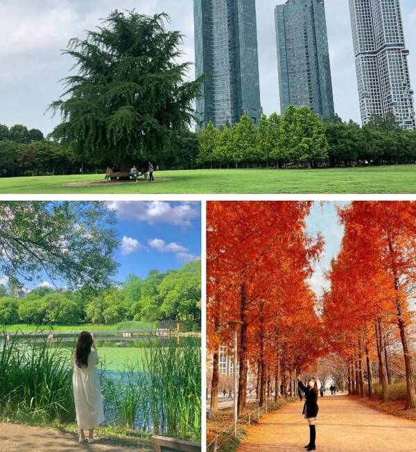 온라인 커뮤니티 /&nbsp;@el.hny /&nbsp;@seul91_m