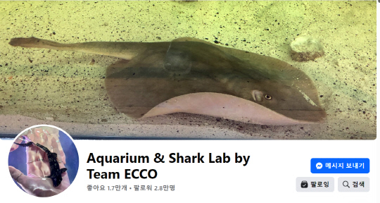 아쿠아리움&상어랩(Aquarium and Shark Lab)의 페이스북 페이지.