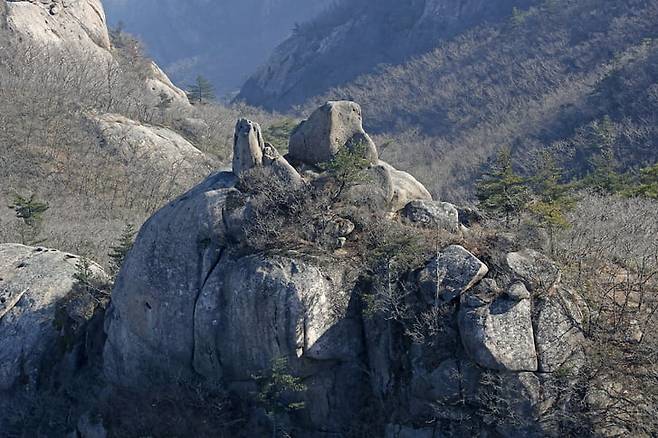 사진은 기사 내용과 무관. 사진=게티이미지뱅크