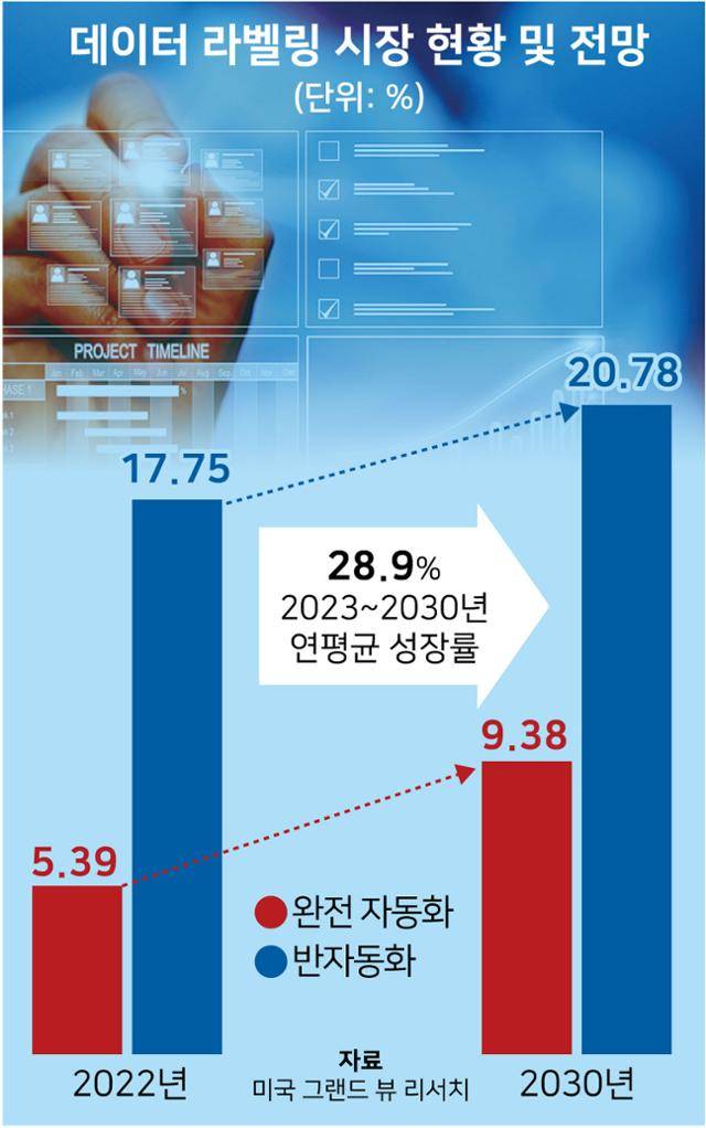 데이터 라벨링 시장 현황 및 전망. 그래픽=강준구 기자
