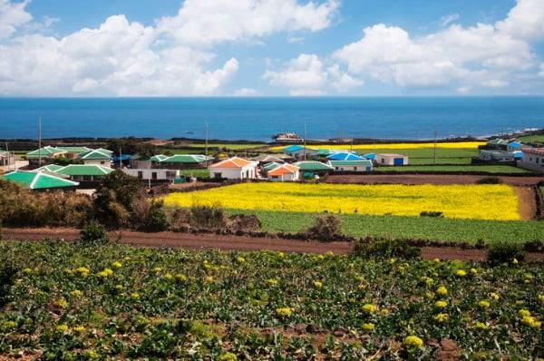 (제주도 전경, 사진=게티이미지뱅크)