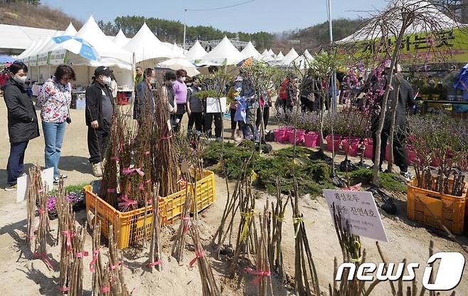 옥천묘목축제 판매장 모습 (옥천군 제공)  /뉴스1