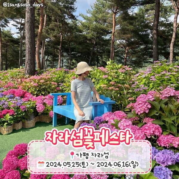 2024 봄꽃축제 일정 총정리 / ⓒ여행톡톡