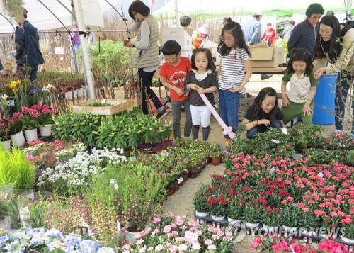 옥천묘목축제 [옥천군 제공. 재판매 및 DB제공]