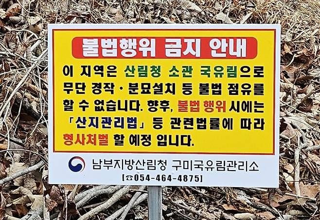 [상주=뉴시스] 불법묘 앞에 산림청이 설치한 경고성 안내판. *재판매 및 DB 금지