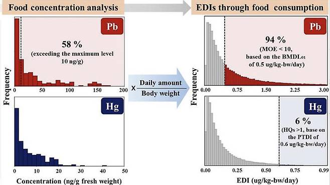 납과 수은의 검출량(완쪽)과 추정 섭취율(오른쪽)