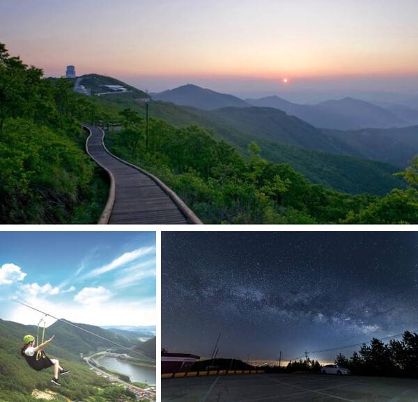 영천 가볼만한곳 추천 BEST 5 / 온라인 커뮤니티