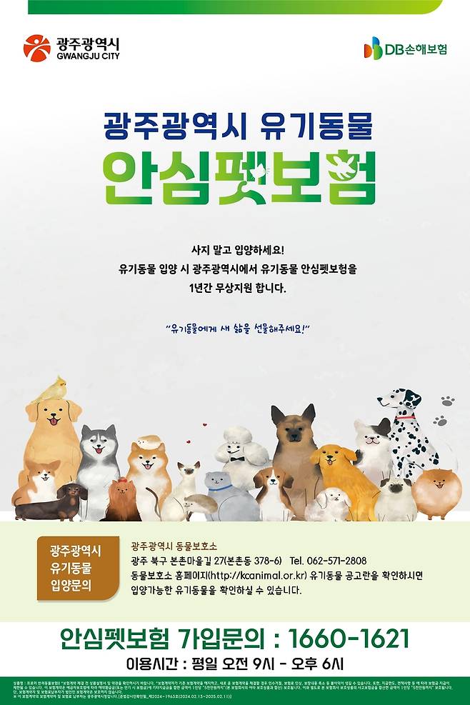 안심 펫 보험 [광주시 제공. 재판매 및 DB 금지]