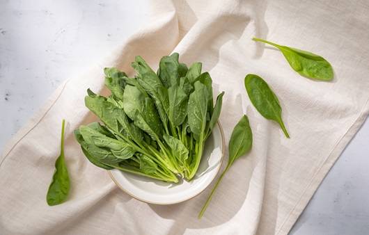 시금치는 엽산이 풍부하게 함유된 식품이다｜출처:클립아트코리아