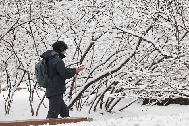 A passerby walks by while reading a book near Deoksugung in Jung-gu, central Seoul, Thursday. (Yonhap)