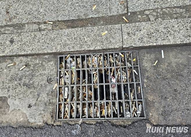 서울 종로 젊음의 거리에 있는 한 빗물받이에 담배꽁초가 쌓여 있다. 사진=임지혜 기자