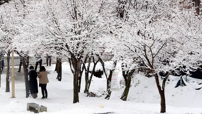 지난 22일 오후 청주 상당산성에 밤사이 내린 눈이 쌓여 있다. /연합뉴스