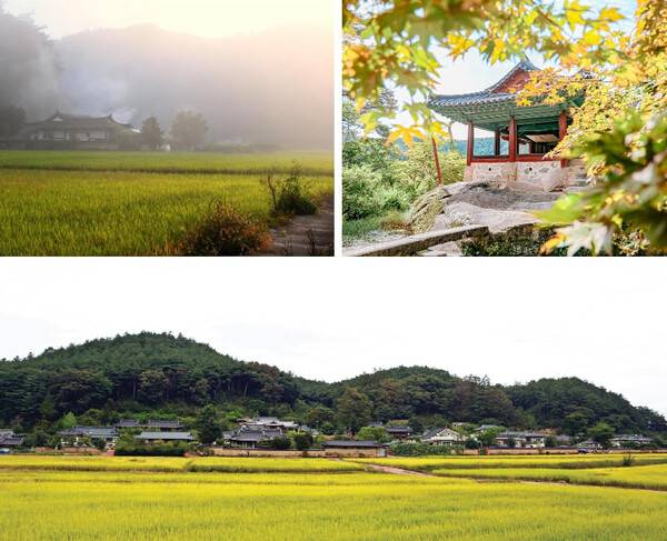 봉화 가볼만한 곳 BEST 5 / 온라인 커뮤니티