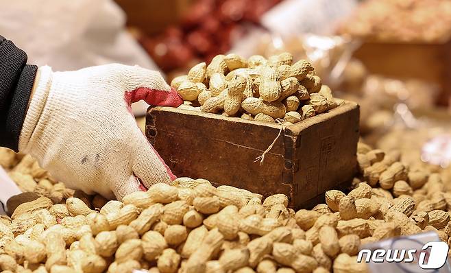정월 대보름(음력 1월 15일)을 하루 앞둔 23일 서울 동대문구 경동시장에서 한 상인이 땅콩, 밤 등 부럼을 준비하고 있다./뉴스1 ⓒ News1 김성진 기자