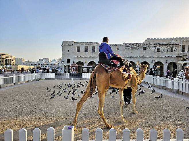 전통 시장 '수크 와키프'에서 한 어린이가 낙타 타기 체험을 하고 있다. /정상혁 기자