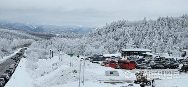 ▲ 등산 탐방객들의 발길이 쇄도하면서 대관령 정상의 도로와 주차장은 24일 하루종일 북새통을 이뤘고. 강릉과 평창 양방향으로 수km씩 극심한 지정체가 반복됐다. 최동열