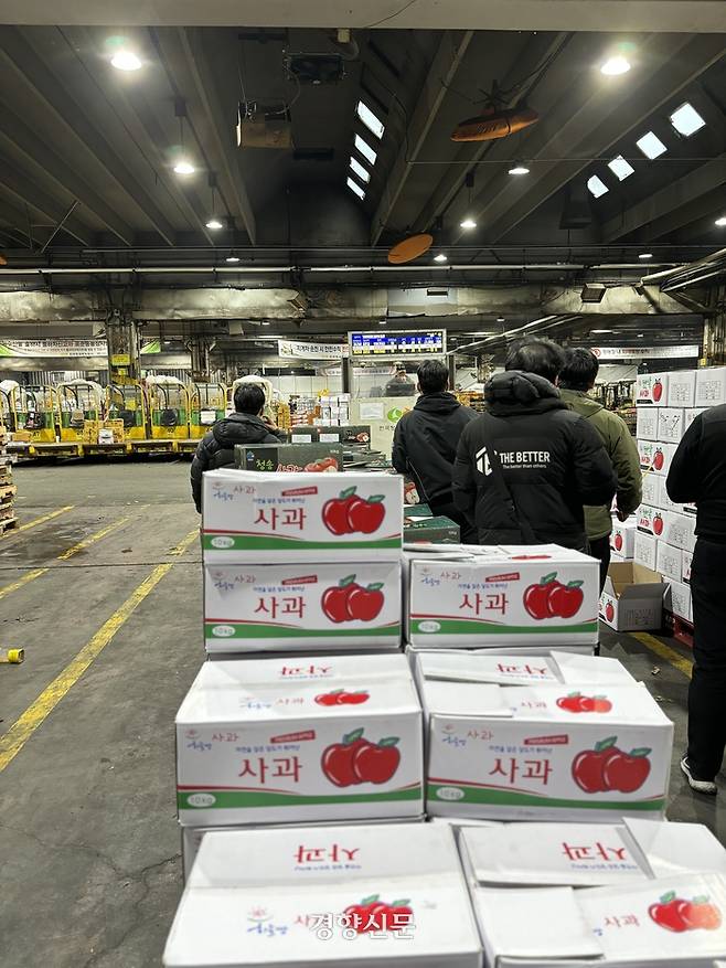 지난 2월 20일 아침 서울 송파구 가락시장에서 전국 산지에서 올라온 사과 경매가 이뤄지고 있다. 경매는 4분 만에  종료됐다. 이효상 기자