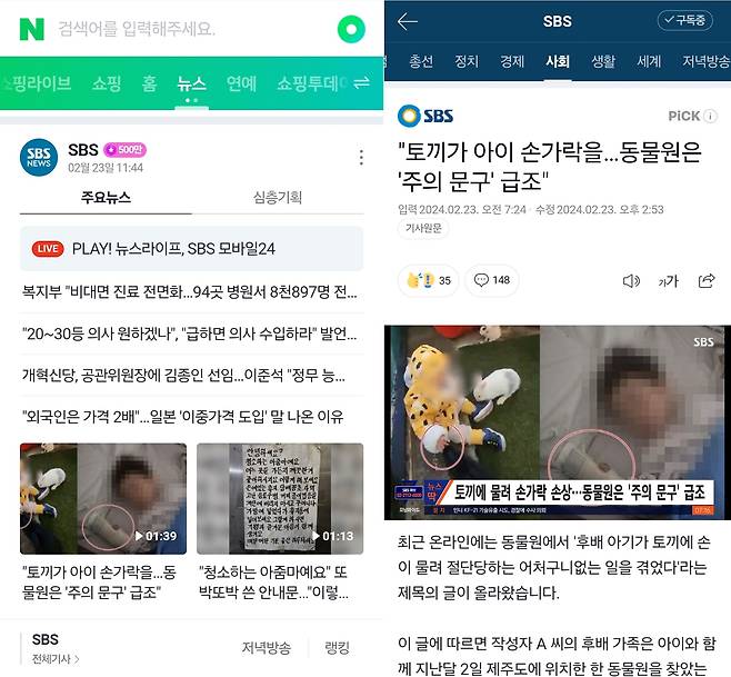 SBS에서 다룬 ‘토끼 물림’ 사고 기사. 지난해 발생한 사건을 ‘지난달 2일’ 발생했다고 기재한 점 등, 최초 오보와 내용이 비슷하다.
