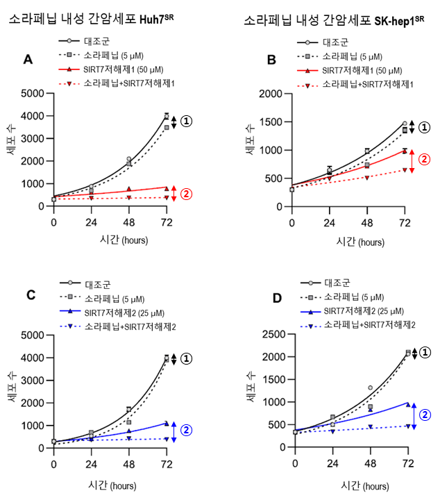 SIRT7 저해제 투여에 따른 소라페닙 효능 재작동 모습. 한국화학연구원