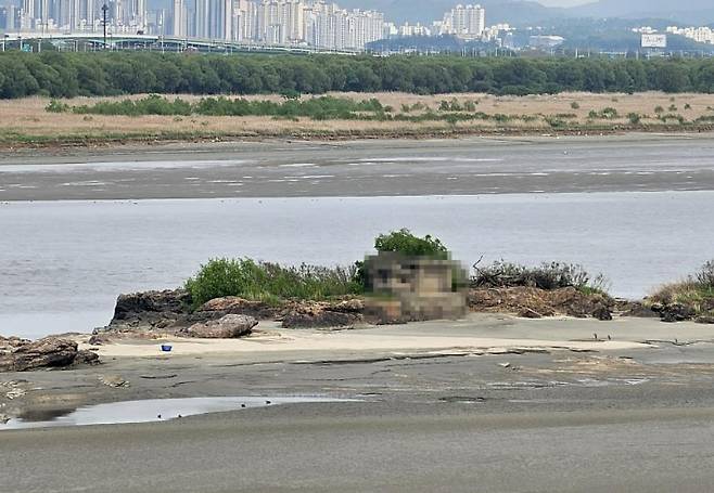 한강 하구에 위치한 김포시의 독도 모습. 군사시설은 모자이크 처리. 김포시 제공