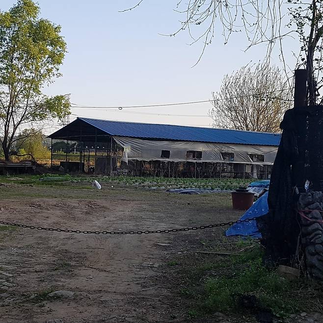 폐업한 개 농장의 모습 [카라 제공]